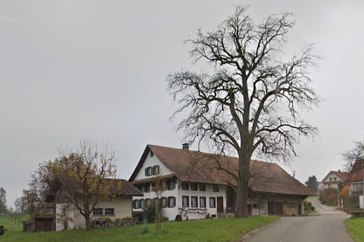 Birnbaum vor dem Bauernhof in Ottenbach 2014, drei Jahre bevor er gefällt wurde